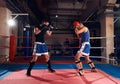 Boxers training kickboxing in the ring at the health club Royalty Free Stock Photo