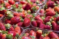Boxes of bright fresh strawberry Royalty Free Stock Photo