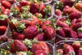 Boxes of bright fresh strawberry Royalty Free Stock Photo