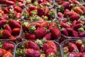Boxes of bright fresh strawberry Royalty Free Stock Photo