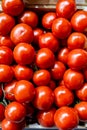 Boxes of bright red tomatoes ready for sale at a farmers market Royalty Free Stock Photo