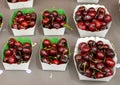 Boxes of cherries on sale in the Cours Saleya Market in the old town of Nice, France Royalty Free Stock Photo