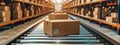 Boxes on conveyor belt in a modern warehouse Royalty Free Stock Photo