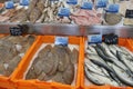 Boxes with fresh fish out of the normandien sea in france