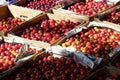 Boxes of fresh Prunus cerasifera, cherry plum, in Tbilisi, Georgia