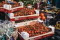 Boxes of fresh red tomatoes on sale in Borough Market, London, UK Royalty Free Stock Photo