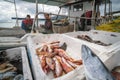 Boxes of freshly caught fish on a fishermen boat Royalty Free Stock Photo