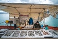Boxes of freshly caught fish on a fishermen boat Royalty Free Stock Photo
