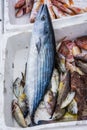 Boxes of freshly caught fish on a fishermen boat Royalty Free Stock Photo