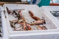 Boxes of freshly caught fish on a fishermen boat Royalty Free Stock Photo