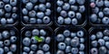 Boxes Full of Berries. Plastic Containers of Blueberries. Natural Food, Healthy Nourishment Background. Generative AI