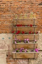 Boxes with garden flowers