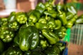Boxes with big green peppers harvets at greenhouse before sale at market Royalty Free Stock Photo