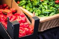 Boxes with green and red habanero peppers Royalty Free Stock Photo