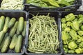Boxes of green vegetables, cucumbers, beans and peppers Royalty Free Stock Photo