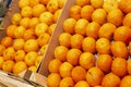 Boxes of juicy tangerines on a store counter. Close-up