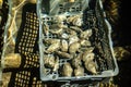 Boxes of live oysters under glistening flowing seawater at farm in oyster-farming village, ready to be eaten, Arcachon bay, Cap Royalty Free Stock Photo