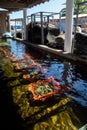 Boxes of live oysters under glistening flowing seawater at farm in oyster-farming village, ready to be eaten, Arcachon bay, Cap Royalty Free Stock Photo