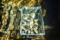 Boxes of live oysters under glistening flowing seawater at farm in oyster-farming village, ready to be eaten, Arcachon bay, Cap Royalty Free Stock Photo