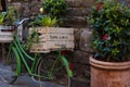 Boxes with plant on a green Italian Bicycle along the narrow streets of Florence, Italy Royalty Free Stock Photo