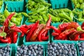 Boxes of red and green hot peppers Royalty Free Stock Photo