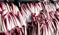 boxes of red organic radicchio called RADICCHIO TARDIVO which me Royalty Free Stock Photo