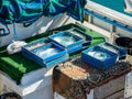 Boxes with line prepared for fishing with hooks and bait Royalty Free Stock Photo