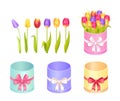 Boxes and Tulips Collection Vector Illustration Royalty Free Stock Photo