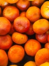 Succulent mandarins for sale