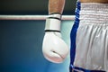 Boxing Royalty Free Stock Photo