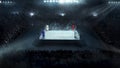 Boxing arena with stadium light