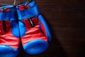Boxing blue and red gloves hanging from ropes on a wooden background. Royalty Free Stock Photo