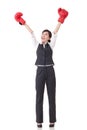 Boxing business woman Royalty Free Stock Photo