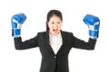 Boxing business woman showing aggressive Royalty Free Stock Photo