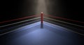 Boxing Corner Spotlit Dark Royalty Free Stock Photo