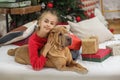 Child girl and dog at Christmas. Boxing Day. Shar Pei dog. Merry Christmas and Happy Holidays