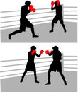 Boxing fight