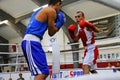 Boxing fight Royalty Free Stock Photo