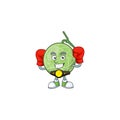 Boxing fruit melon cartoon mascot for diet