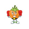 Boxing fruit persimmon character for object cartoon