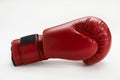 Boxing Glove