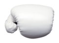 Boxing Glove Front View Royalty Free Stock Photo