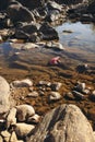 A Boxing Glove in a River Royalty Free Stock Photo