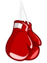 Boxing Gloves Royalty Free Stock Photo