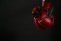 Boxing gloves with black background Royalty Free Stock Photo