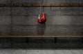 Boxing Gloves Hanging In Change Room Royalty Free Stock Photo