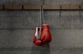 Boxing Gloves Hanging In Change Room Royalty Free Stock Photo