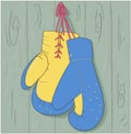 Boxing gloves hanging from laces on a grey background. blue and yellow