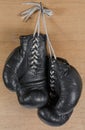 Boxing gloves Royalty Free Stock Photo