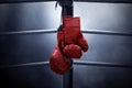 Boxing gloves hanging on the ring Royalty Free Stock Photo